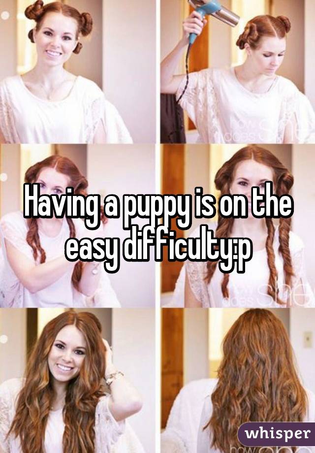 Having a puppy is on the easy difficulty:p