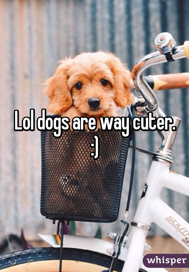 Lol dogs are way cuter. :)