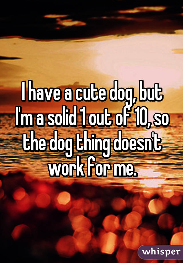 I have a cute dog, but I'm a solid 1 out of 10, so the dog thing doesn't work for me.