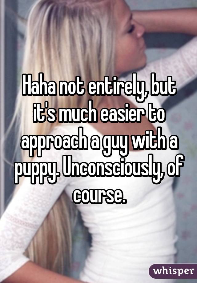 Haha not entirely, but it's much easier to approach a guy with a puppy. Unconsciously, of course.