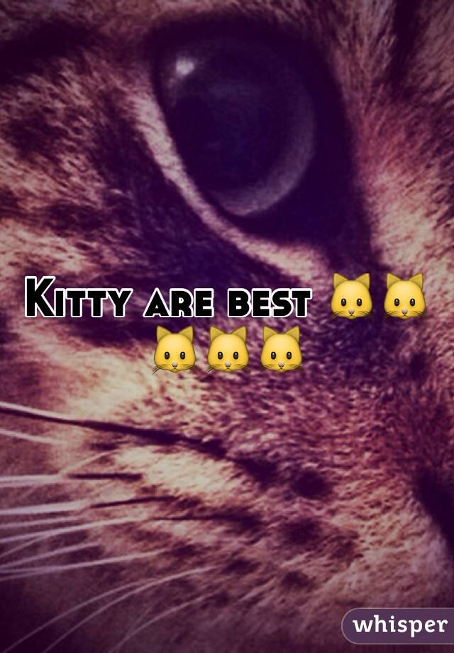 Kitty are best 🐱🐱🐱🐱🐱