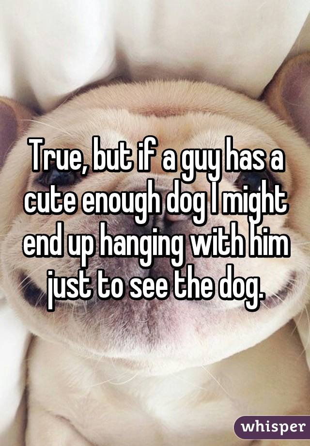 True, but if a guy has a cute enough dog I might end up hanging with him just to see the dog.