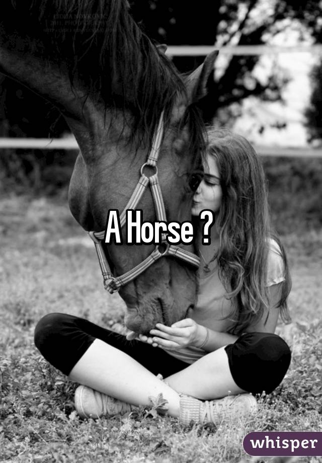 A Horse 😏 