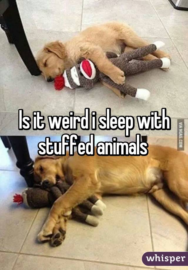 Is it weird i sleep with stuffed animals 