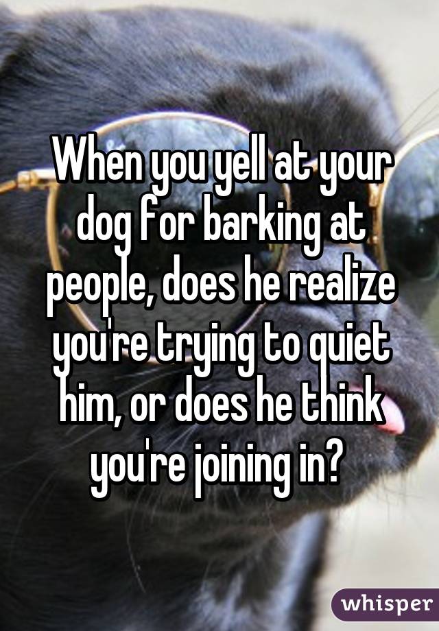 When you yell at your dog for barking at people, does he realize you're trying to quiet him, or does he think you're joining in? 