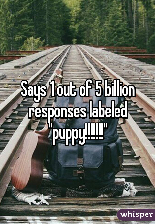 Says 1 out of 5 billion responses labeled "puppy!!!!!!!"