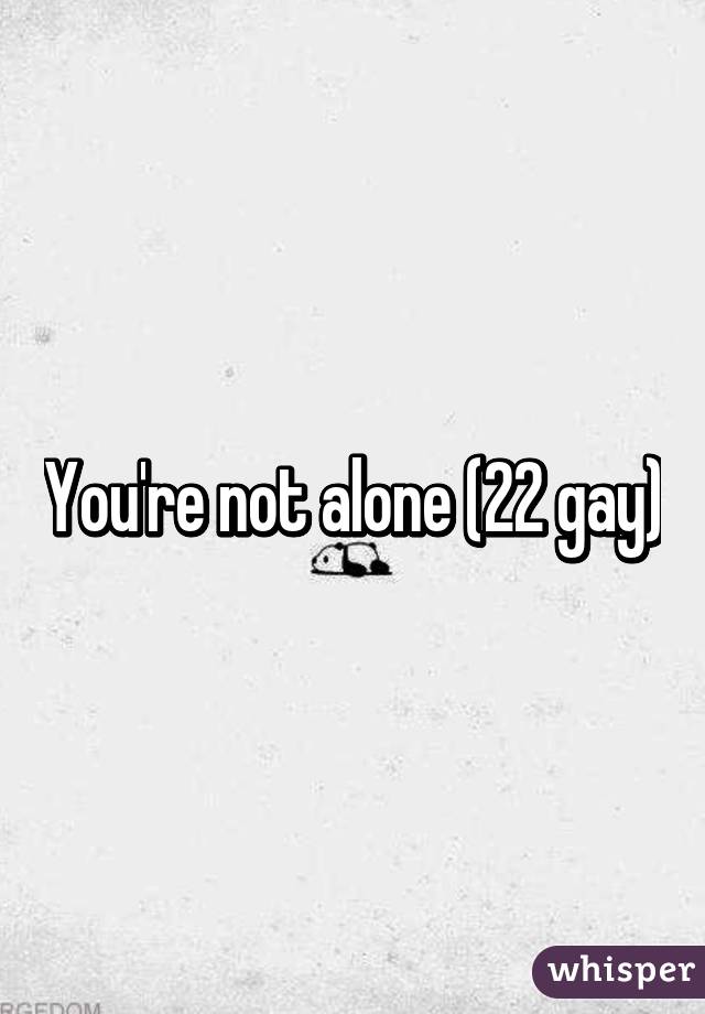 You're not alone (22 gay)