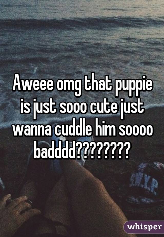 Aweee omg that puppie is just sooo cute just wanna cuddle him soooo badddd😍😍😍😋🐾🐾🐾🐾