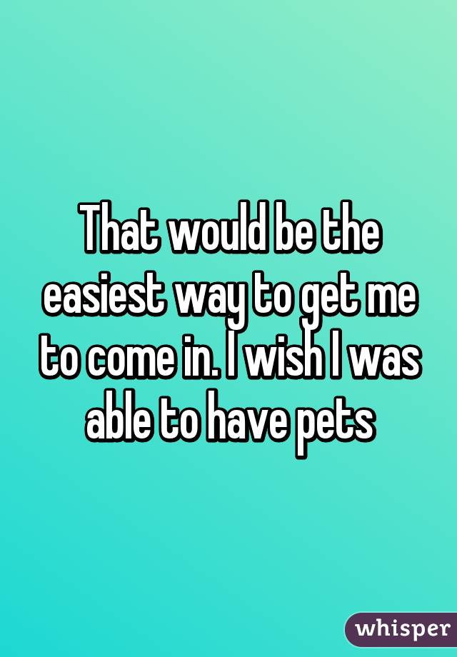 That would be the easiest way to get me to come in. I wish I was able to have pets