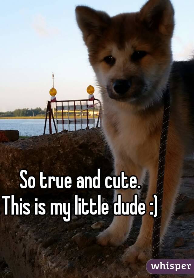 So true and cute.
This is my little dude :)