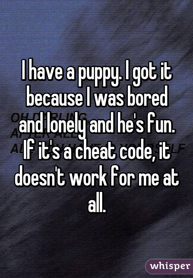 I have a puppy. I got it because I was bored and lonely and he's fun.
If it's a cheat code, it doesn't work for me at all.