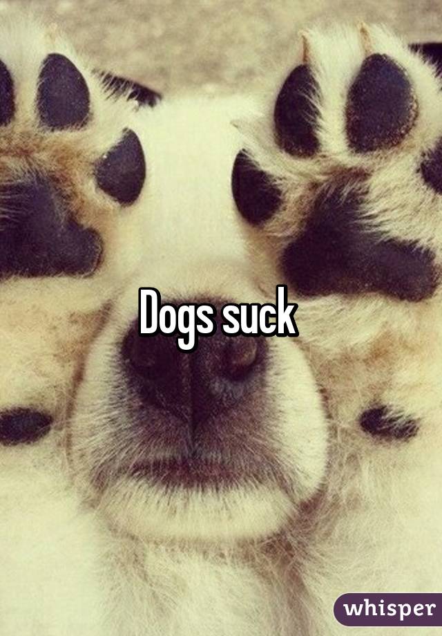 Dogs suck 