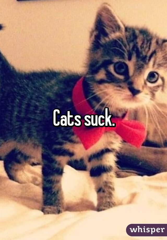 Cats suck.