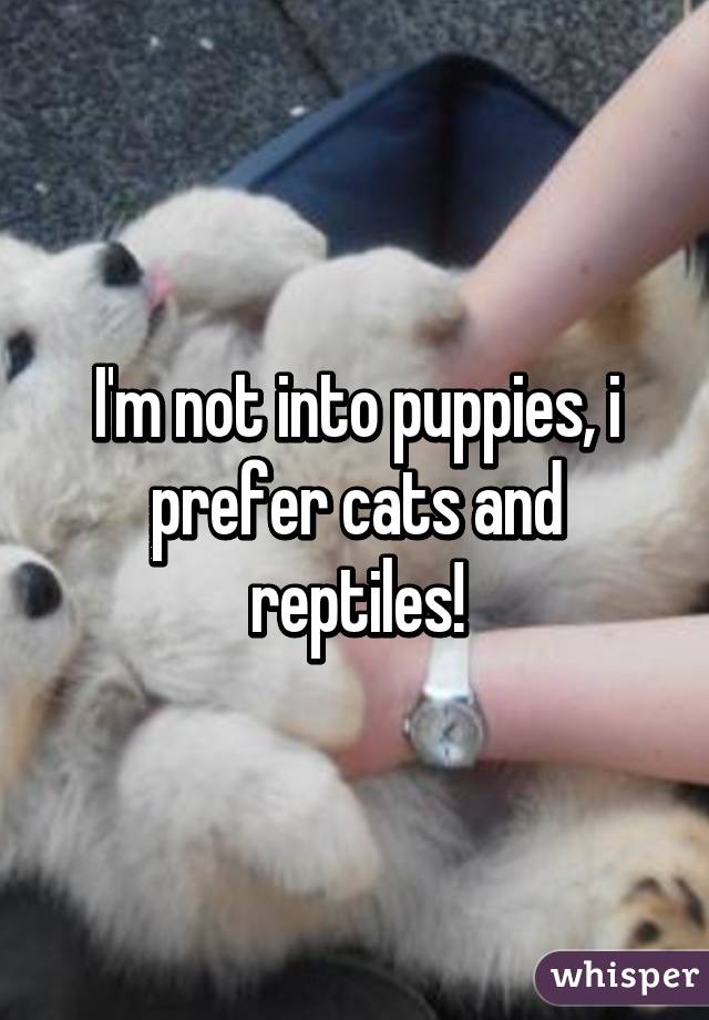 I'm not into puppies, i prefer cats and reptiles!