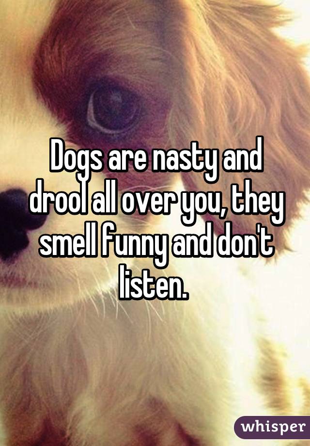 Dogs are nasty and drool all over you, they smell funny and don't listen. 