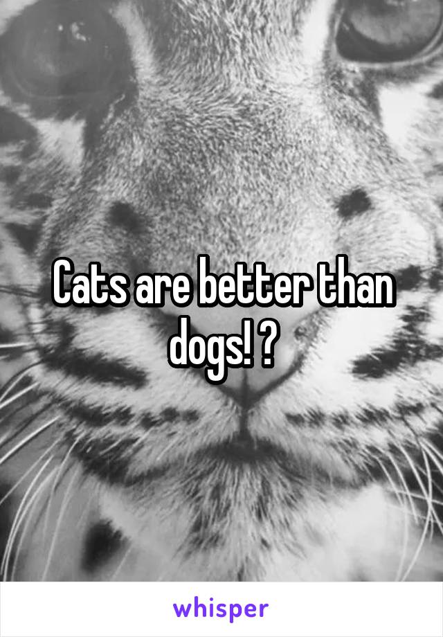 Cats are better than dogs! 😍