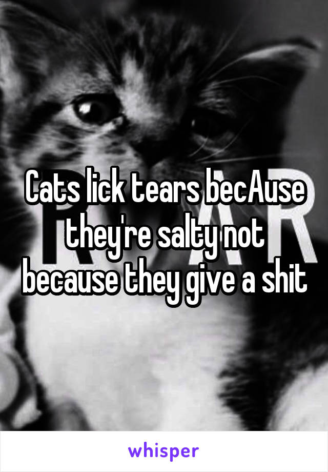 Cats lick tears becAuse they're salty not because they give a shit
