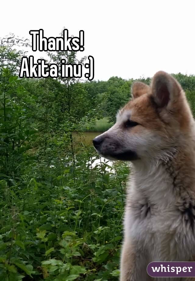 
Thanks!
Akita inu :)