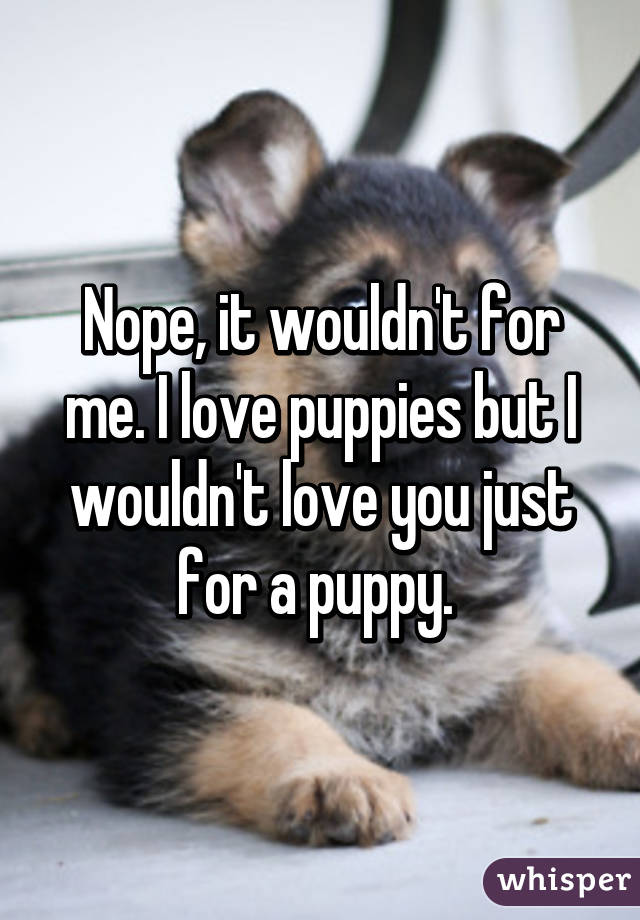 Nope, it wouldn't for me. I love puppies but I wouldn't love you just for a puppy. 