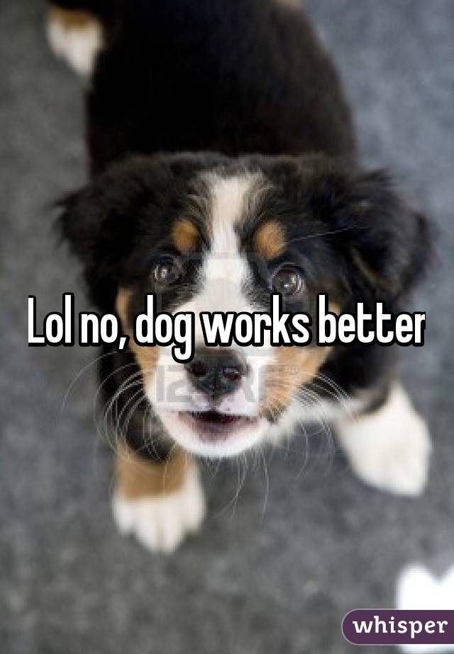 Lol no, dog works better