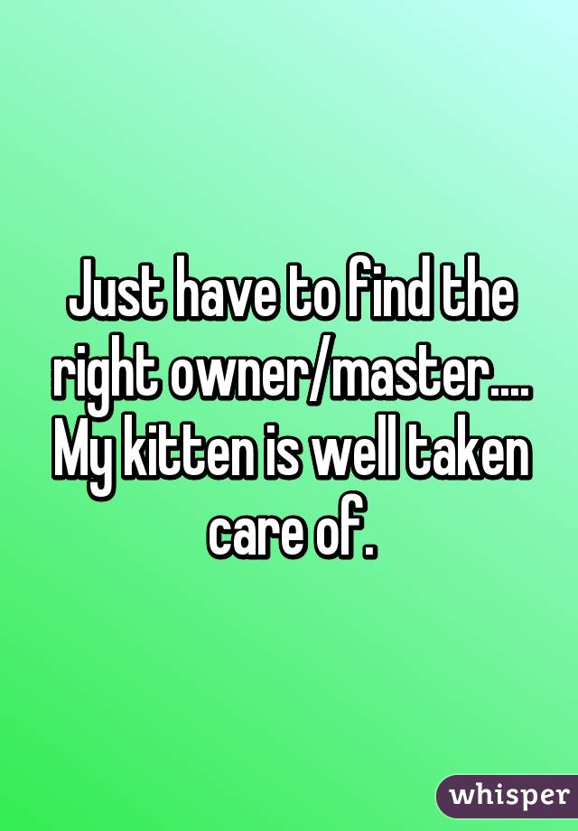 Just have to find the right owner/master.... My kitten is well taken care of.