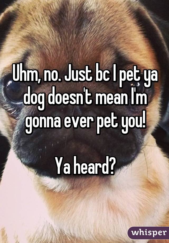 Uhm, no. Just bc I pet ya dog doesn't mean I'm gonna ever pet you!

Ya heard?