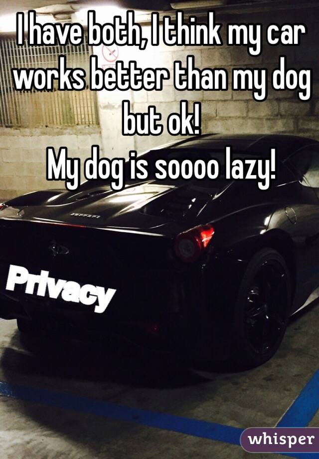 I have both, I think my car works better than my dog but ok! 
My dog is soooo lazy!