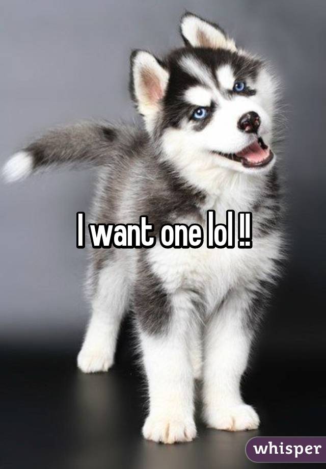 I want one lol !!