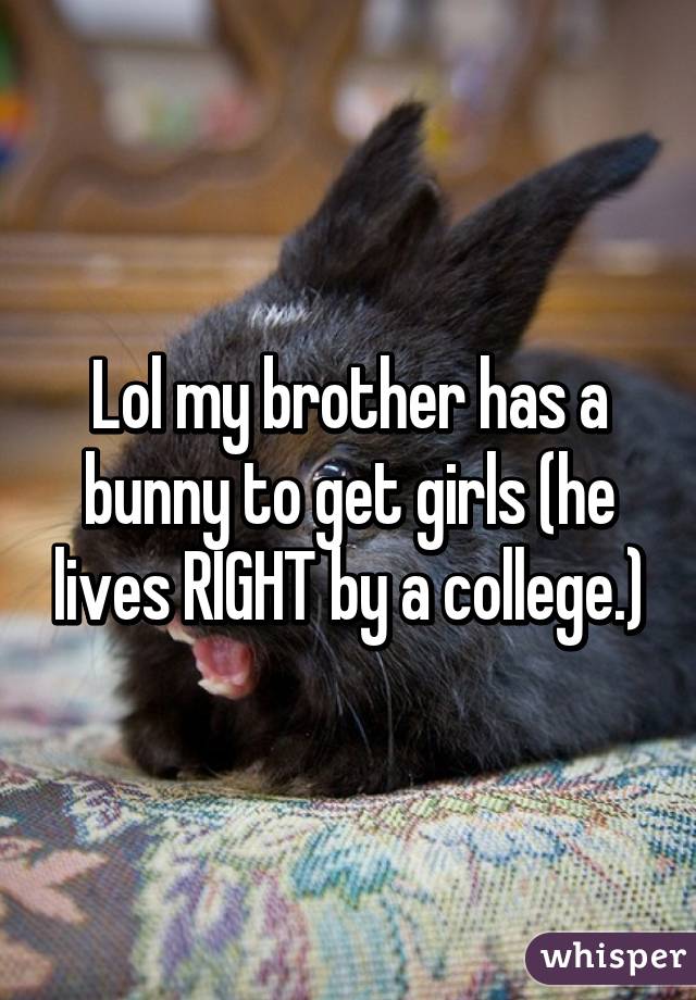 Lol my brother has a bunny to get girls (he lives RIGHT by a college.)