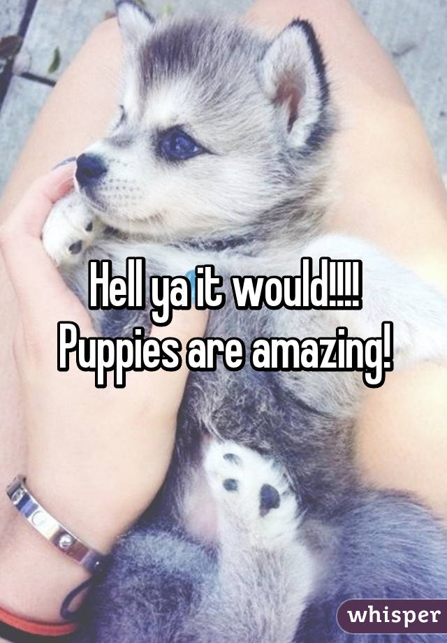 Hell ya it would!!!! Puppies are amazing!