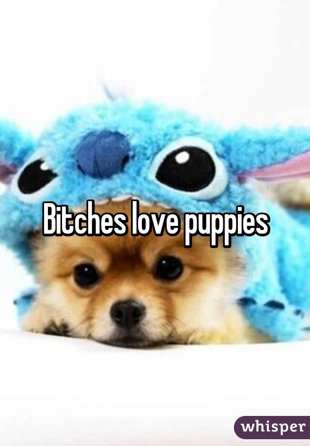 Bitches love puppies