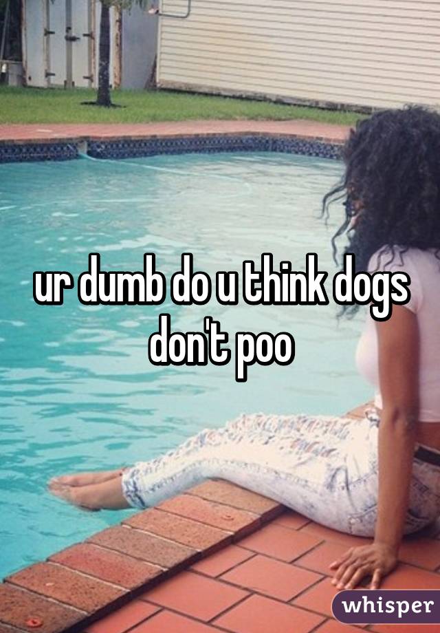 ur dumb do u think dogs don't poo