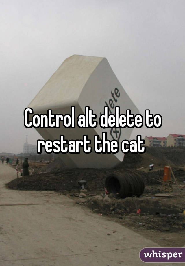 Control alt delete to restart the cat 