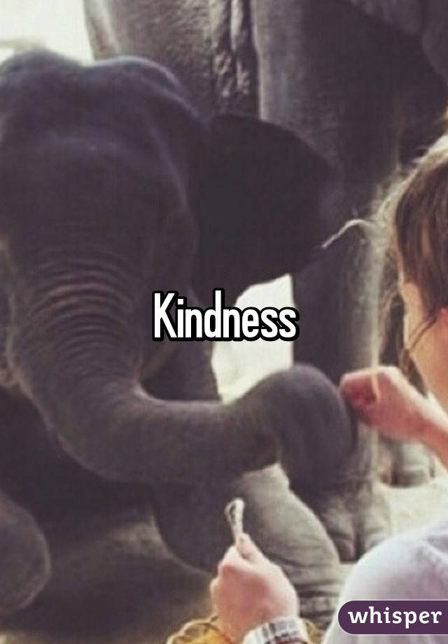 Kindness