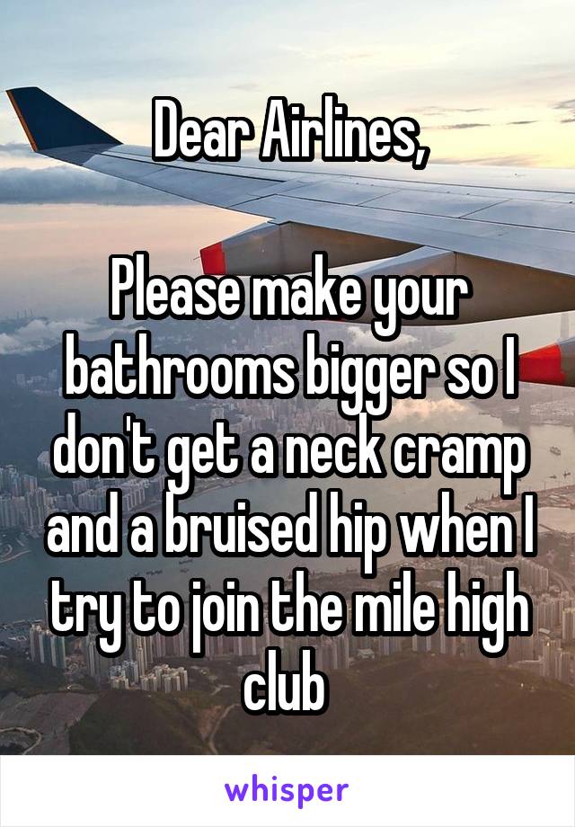 Dear Airlines,

Please make your bathrooms bigger so I don't get a neck cramp and a bruised hip when I try to join the mile high club 