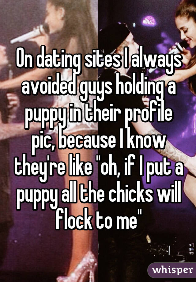On dating sites I always avoided guys holding a puppy in their profile pic, because I know they're like "oh, if I put a puppy all the chicks will flock to me"