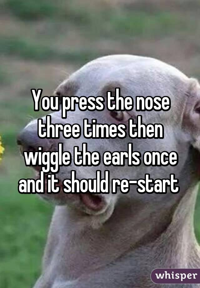 You press the nose three times then wiggle the earls once and it should re-start 