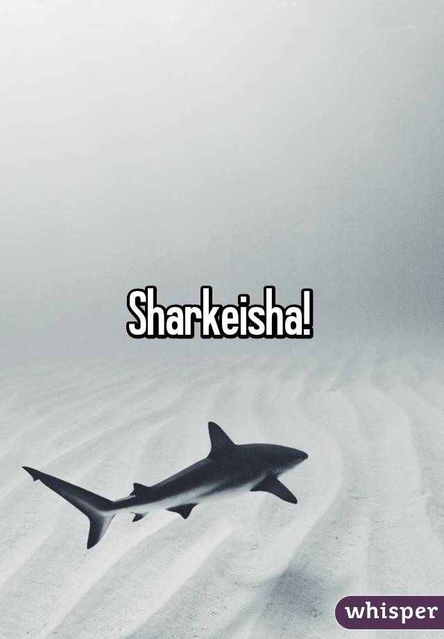 Sharkeisha! 