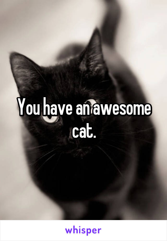 You have an awesome cat.
