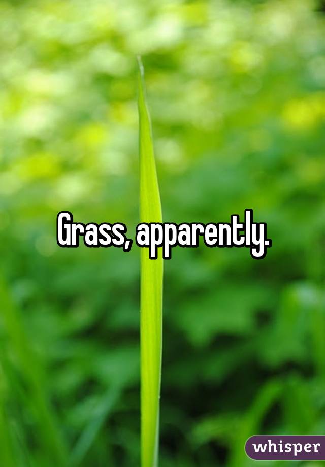 Grass, apparently.