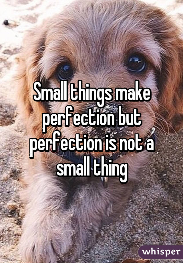 Small things make perfection but perfection is not a small thing