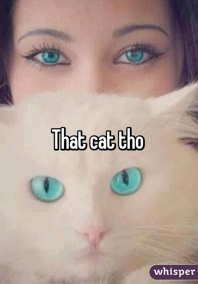 That cat tho 