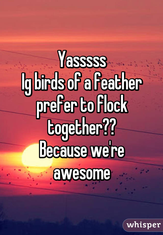 Yasssss
Ig birds of a feather prefer to flock together😀😁
Because we're awesome