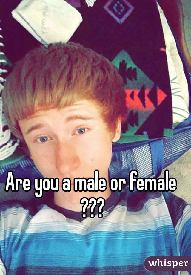 Are you a male or female ???
