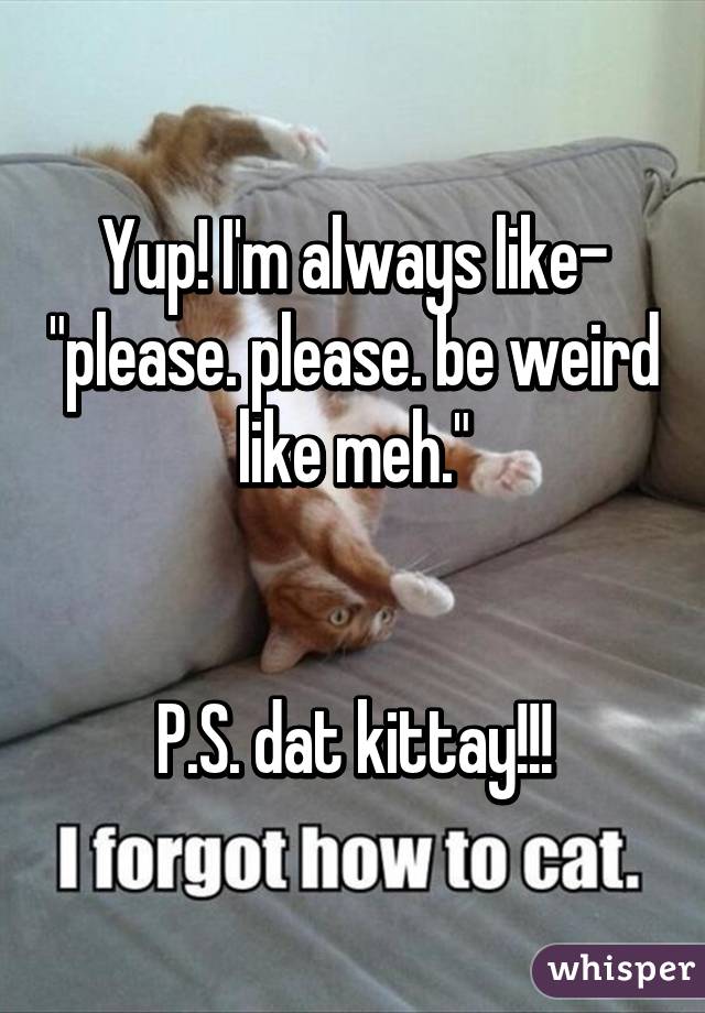 Yup! I'm always like- "please. please. be weird like meh."


P.S. dat kittay!!!