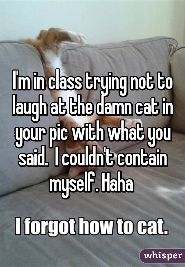 I'm in class trying not to laugh at the damn cat in your pic with what you said.  I couldn't contain myself. Haha 