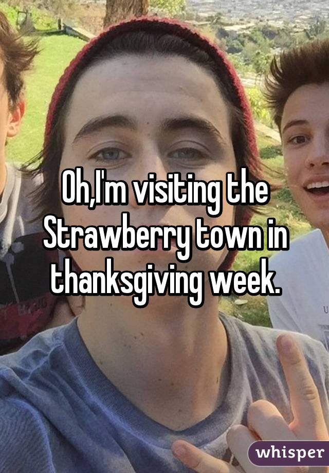 Oh,I'm visiting the Strawberry town in thanksgiving week.