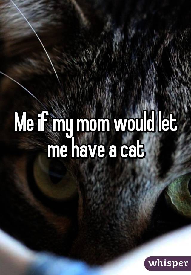 Me if my mom would let me have a cat