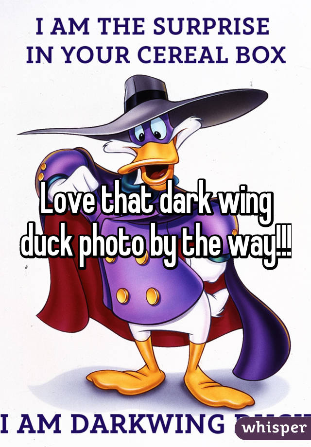 Love that dark wing duck photo by the way!!!