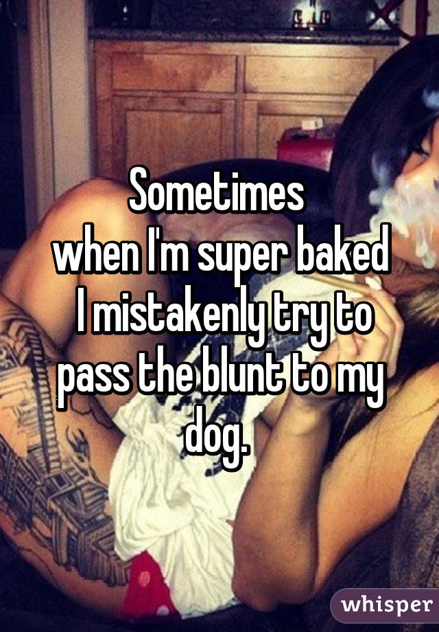 Sometimes 
when I'm super baked
 I mistakenly try to pass the blunt to my dog. 